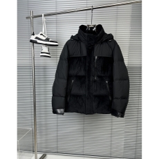 Zegna Down Jackets